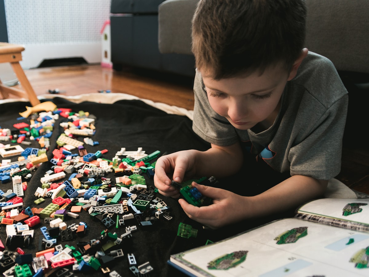A boy building with bricks, instructions open — Independence
